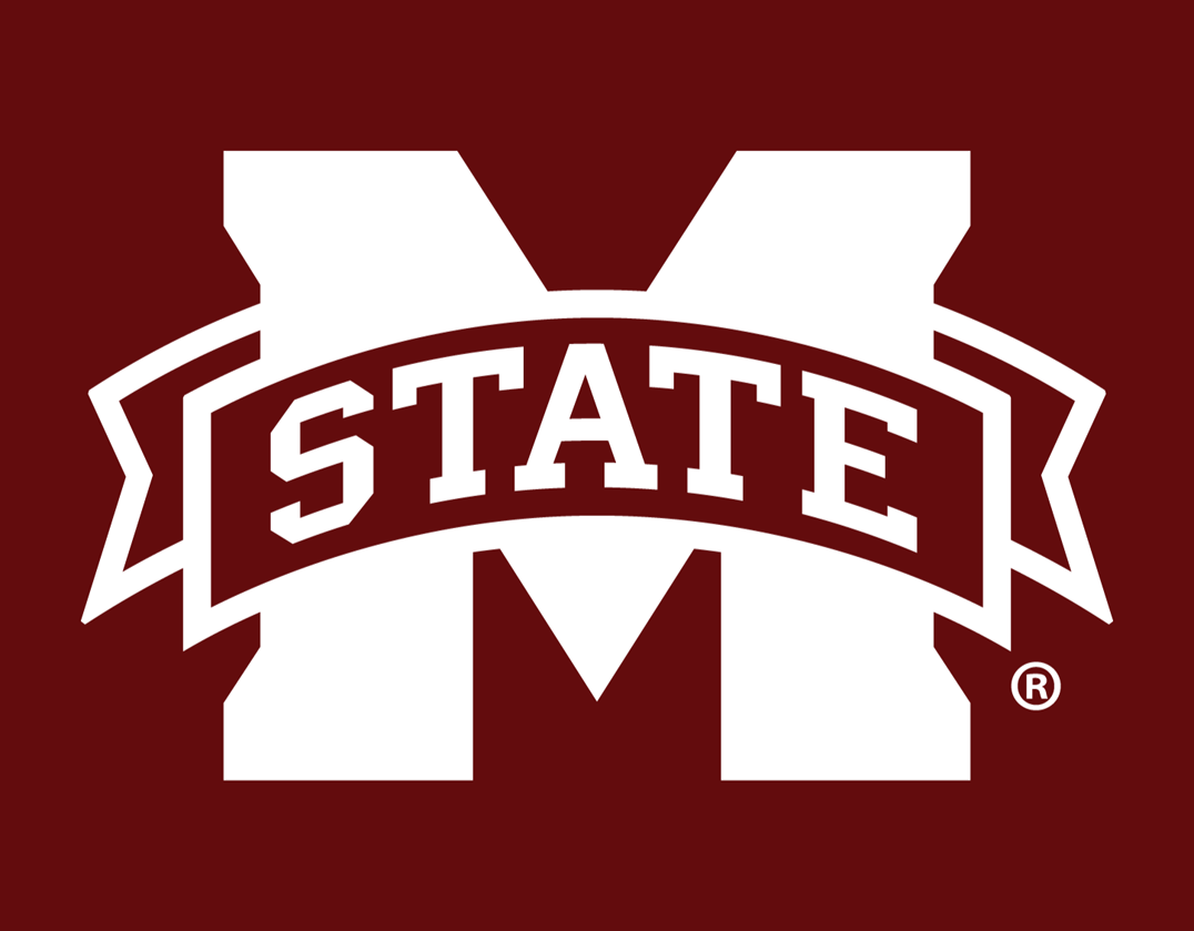 Mississippi State Bulldogs 2009-Pres Alternate Logo v2 diy iron on heat transfer
